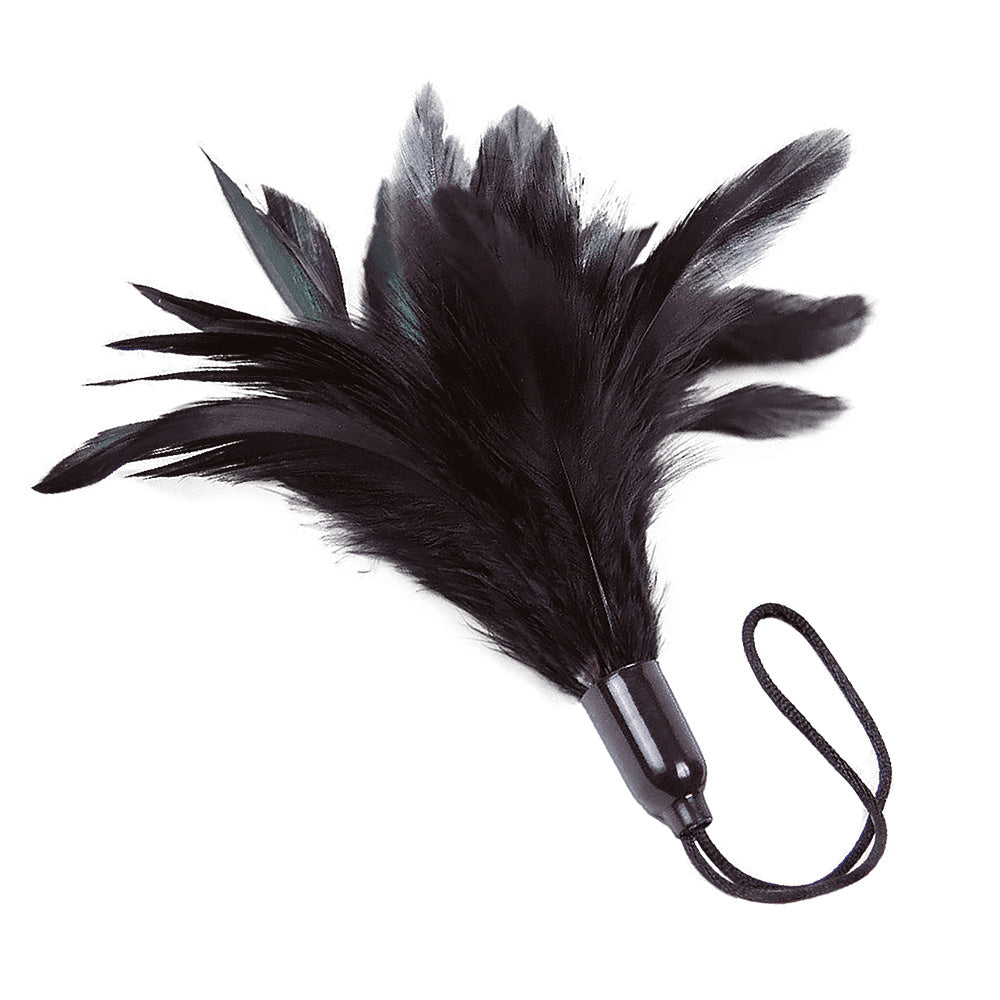 Petite plume noire - Adrien Lastic